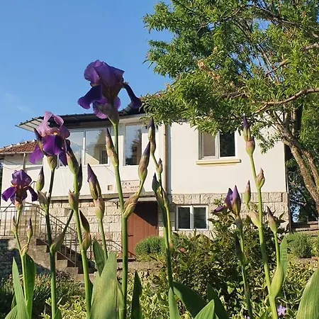 за гости ирина Балчик