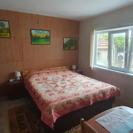 за гости ирина Балчик